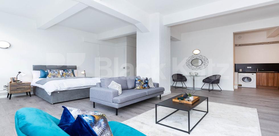 			Studio Apartment, 1 bath, 1 reception Studio			 ABILITY VIEW-KINGSLAND ROAD, HOXTON - SHOREDITCH